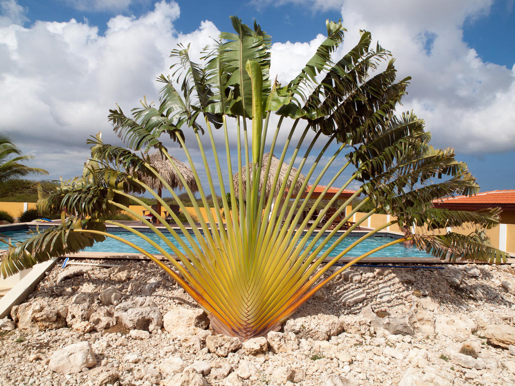 Wanapa Lodge Bonaire Ngoại thất bức ảnh