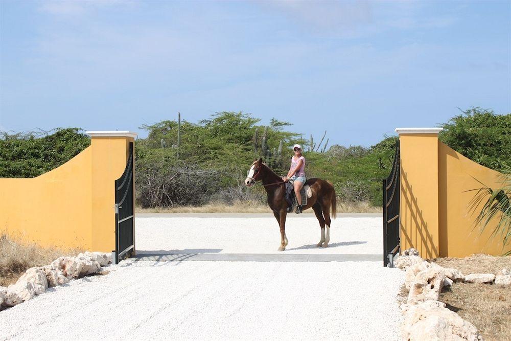 Wanapa Lodge Bonaire Ngoại thất bức ảnh